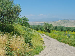 (Joh 4:52) En av vägarna mellan Kapernaum och Kana.
