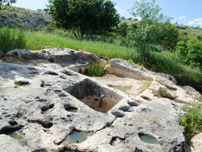 (1 Kung 21:1) En uthuggen vinpress på den nordliga sluttningen ner från staden. Denna flera tusen år gamla vinpress tros ha tillhört Navot. Den hittades vid utgrävningar 2013 i Jisreel och är en av de största vinpressarna i Israel.