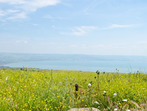 (Mark 6:30) Vy över norra delen av Galileiska sjön sedd från Korasin. På våren grönskar landskapet.
