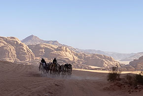 (2 Mos 17:8) Beduiner på kameler i Wadi Rum i Jordanien.