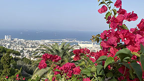 (Höga v 2:1) Vy från Haifa över Medelhavet. Saronslätten sträcker sig söder om Haifa nedanför Karmelberget. Moderna staden Natanya (som betyder "en gåva från Gud") är huvudorten i detta bördiga område som får nederbörd året om. 
