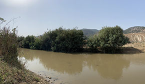 (1 Kung 18:36) Kishon är en av de större floderna i Israel och har sitt utlopp i Hafia.