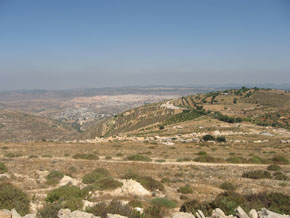 (Luk 2:8) Fälten utanför Betlehem.