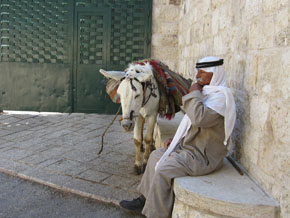 (Mark 11:1) Beduin med en åsna i Jerusalem.