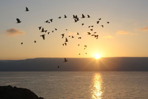 (Mark 1:35) Soluppgång över Galileiska sjön.