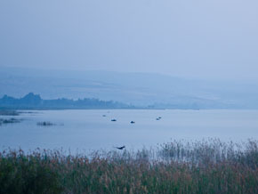 images/2678_boats_earlyMorning_sea_of_galilee_small.jpg
