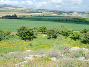 images/6906_Jezreel_winepress_small.jpg